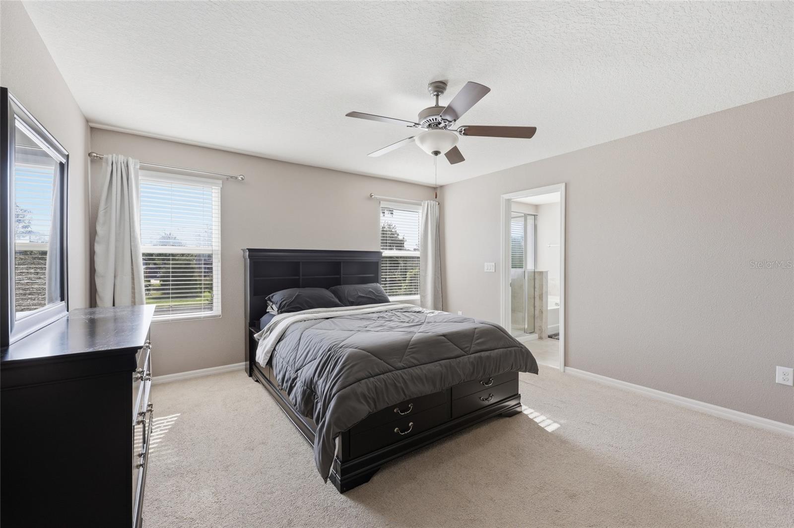 19416 ROSEATE DR, LUTZ, FL, 33558