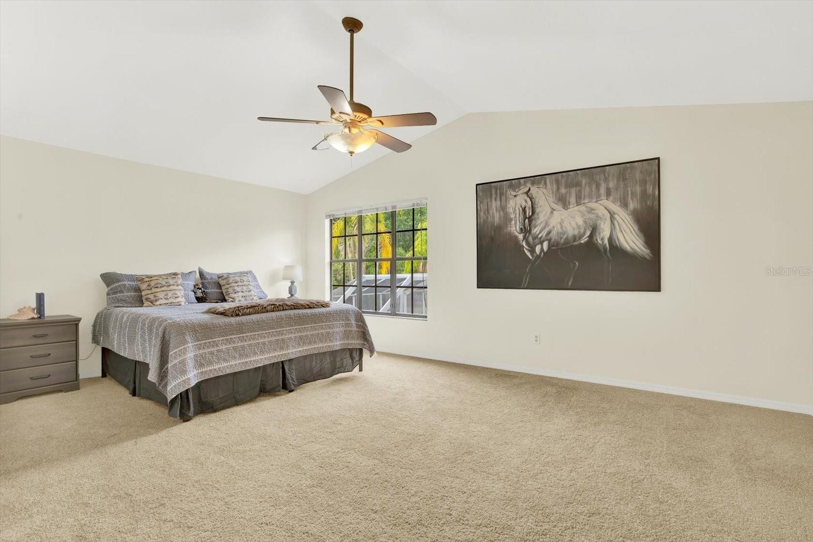 11419 DONNEYMOOR DR, RIVERVIEW, FL, 33569