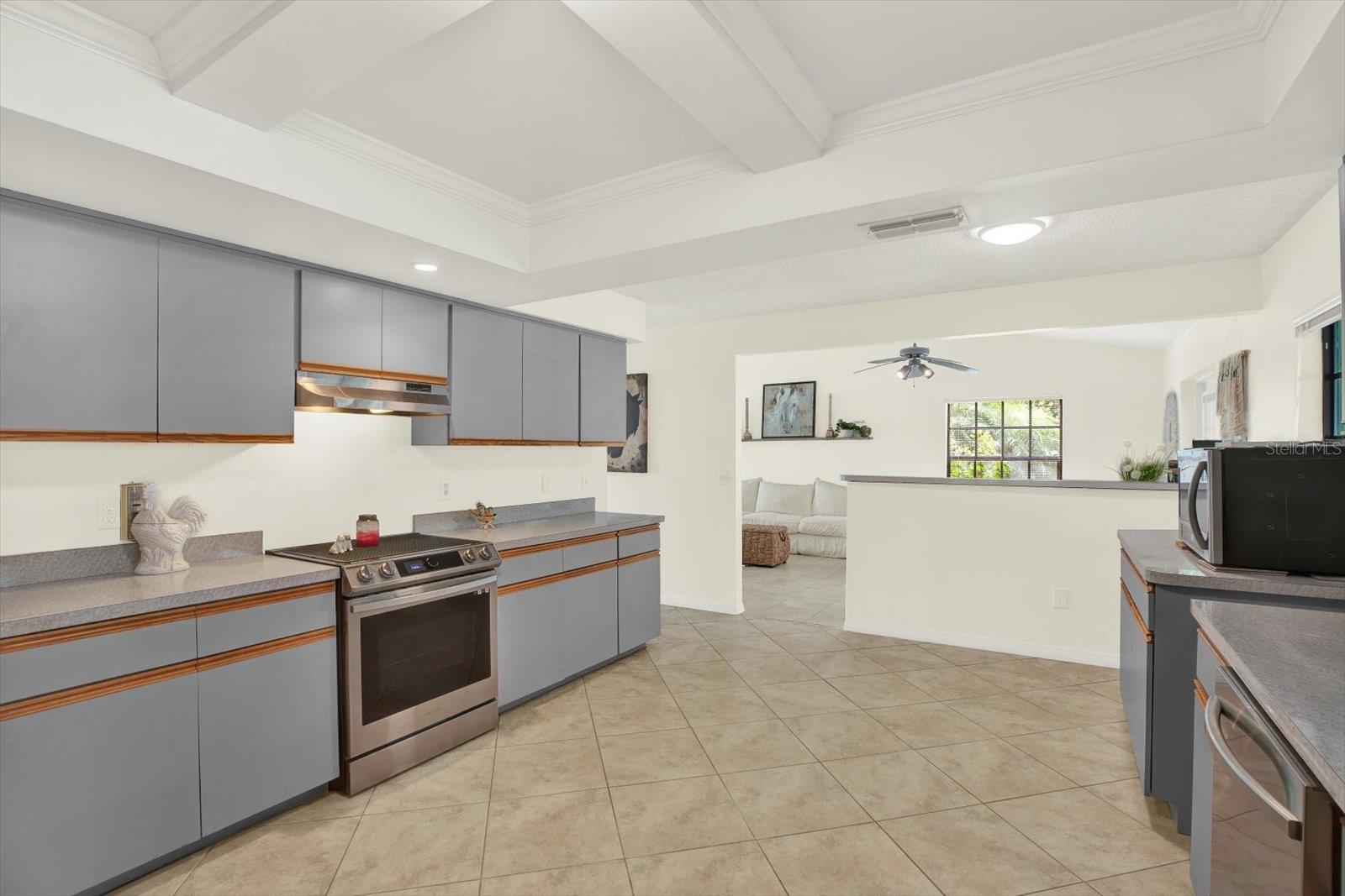 11419 DONNEYMOOR DR, RIVERVIEW, FL, 33569