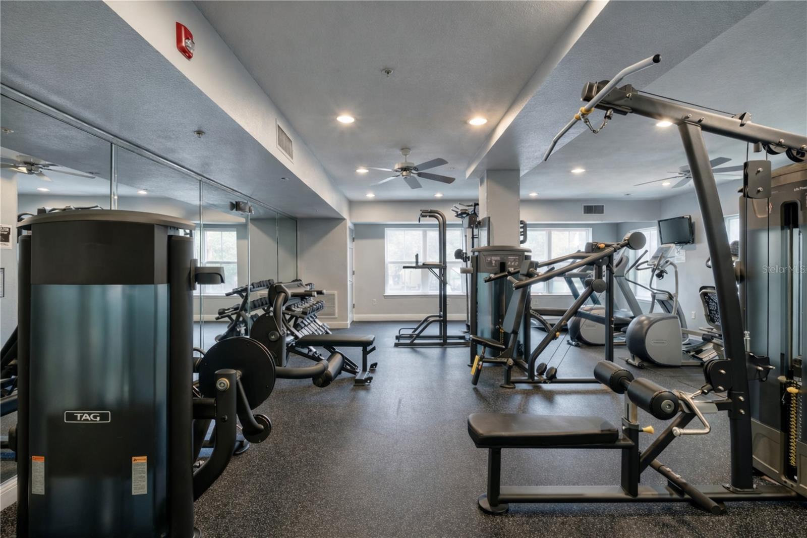204 E SOUTH ST #6052, ORLANDO, FL, 32801