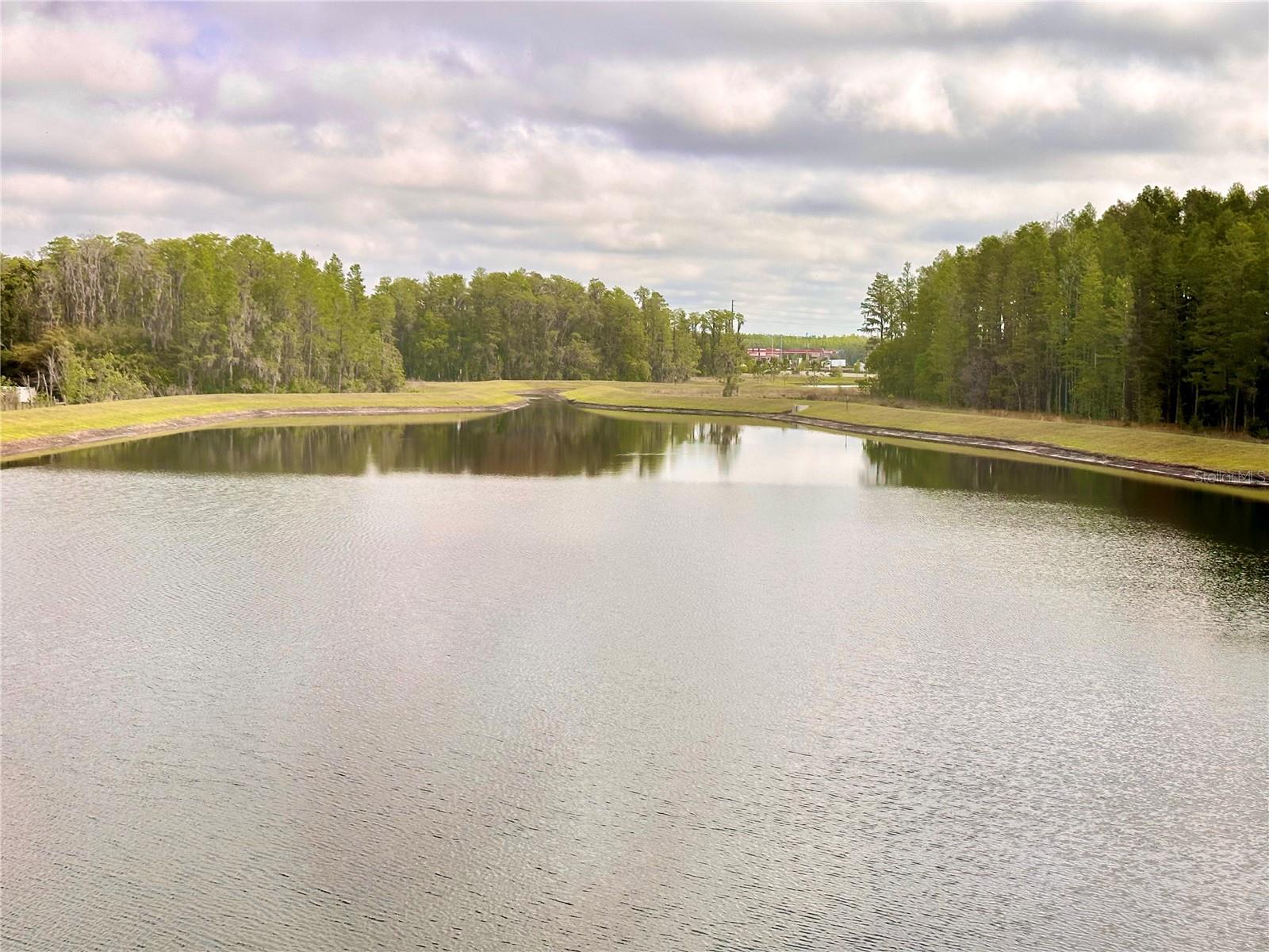 2201 CERULEAN SKY DR, LUTZ, FL, 33558