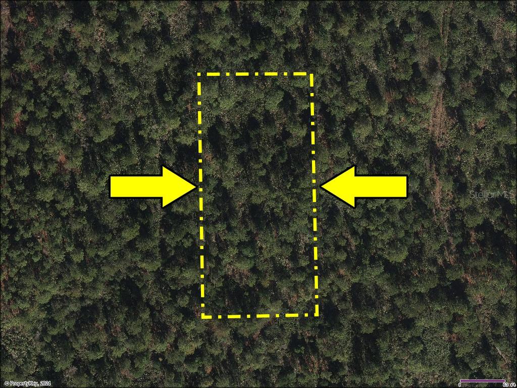 Vacant Land on INTERNATIONAL DR S, ORLANDO, FL, 32821