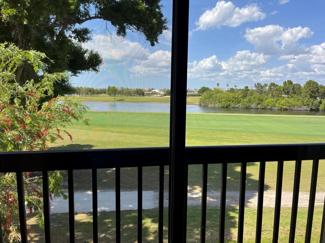 Gorgeous Views from Living Room & Bonus Room