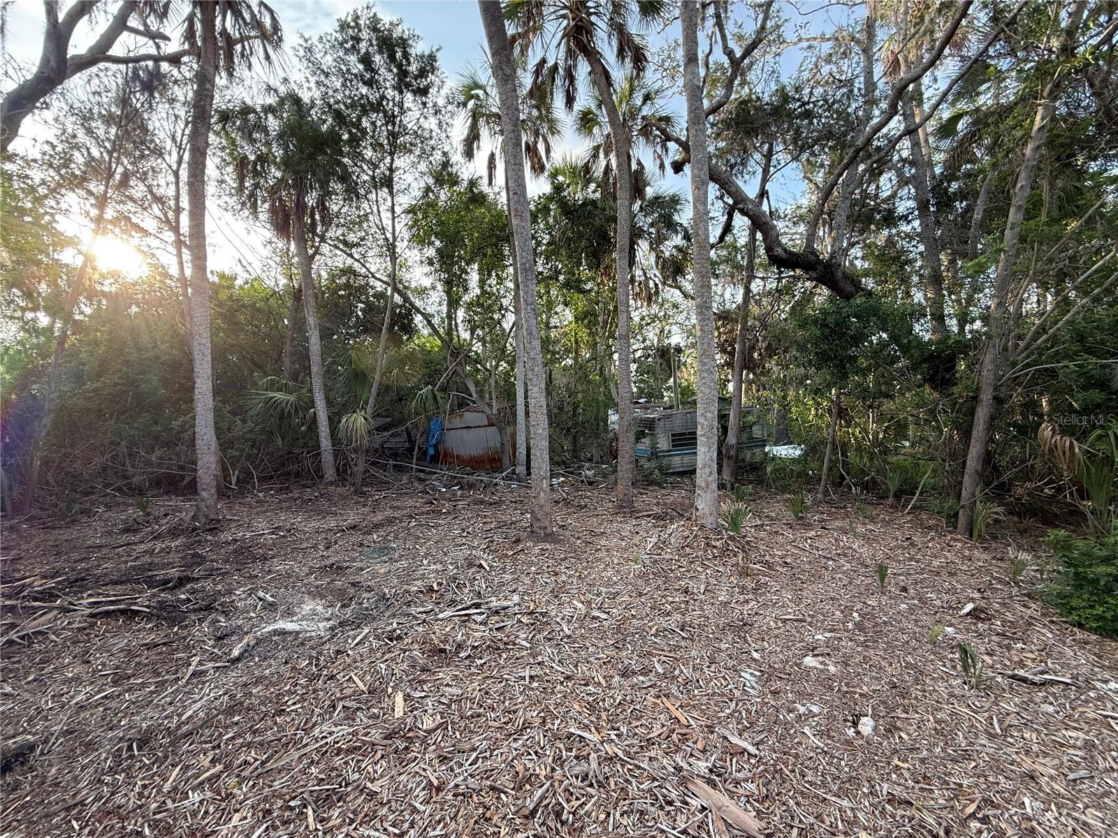 1471 S ESTUARY DR, CRYSTAL RIVER, FL, 34429