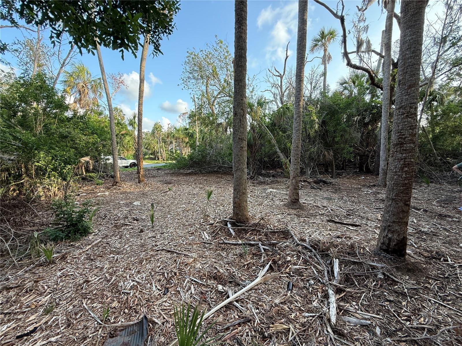 1471 S ESTUARY DR, CRYSTAL RIVER, FL, 34429