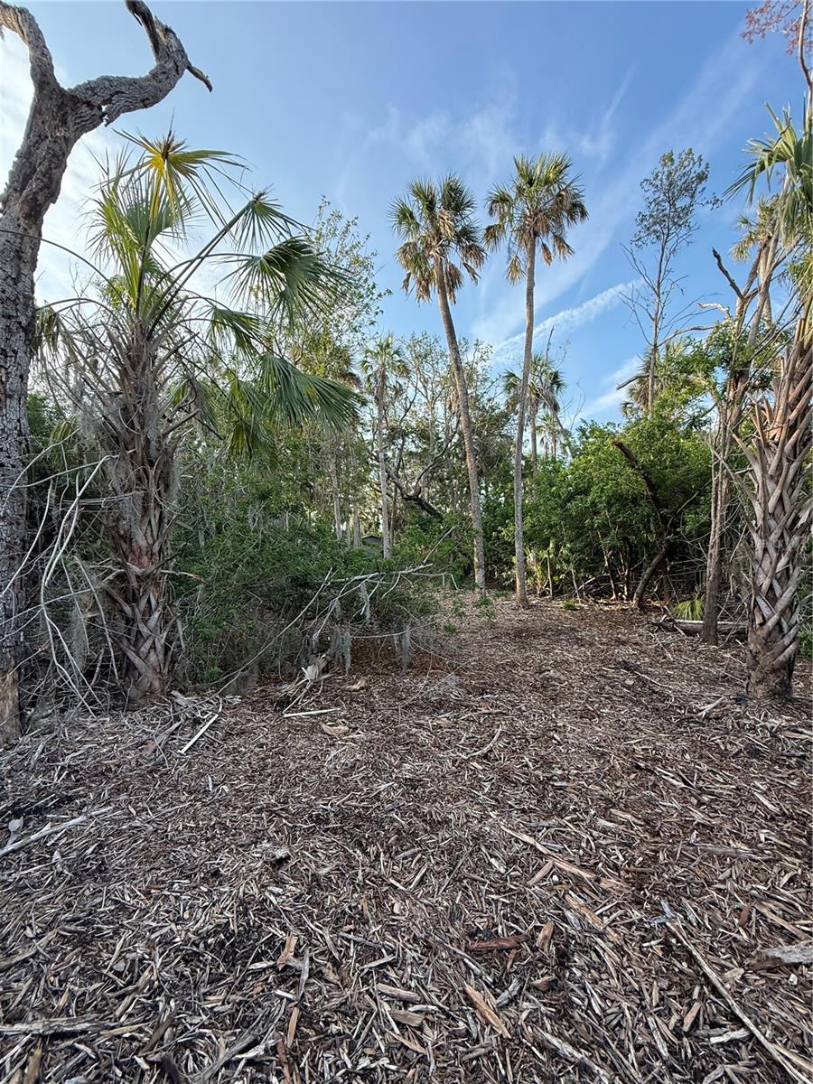 1471 S ESTUARY DR, CRYSTAL RIVER, FL, 34429