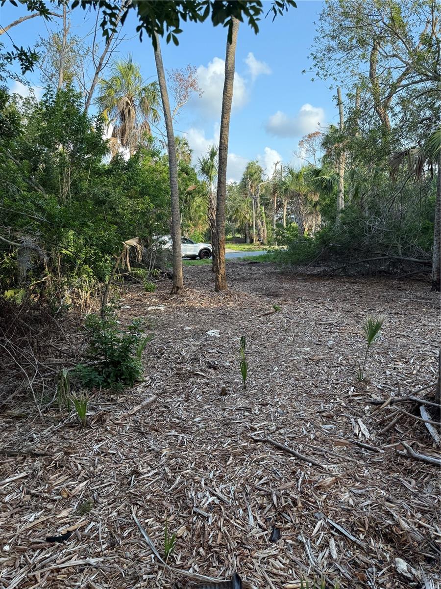 1471 S ESTUARY DR, CRYSTAL RIVER, FL, 34429