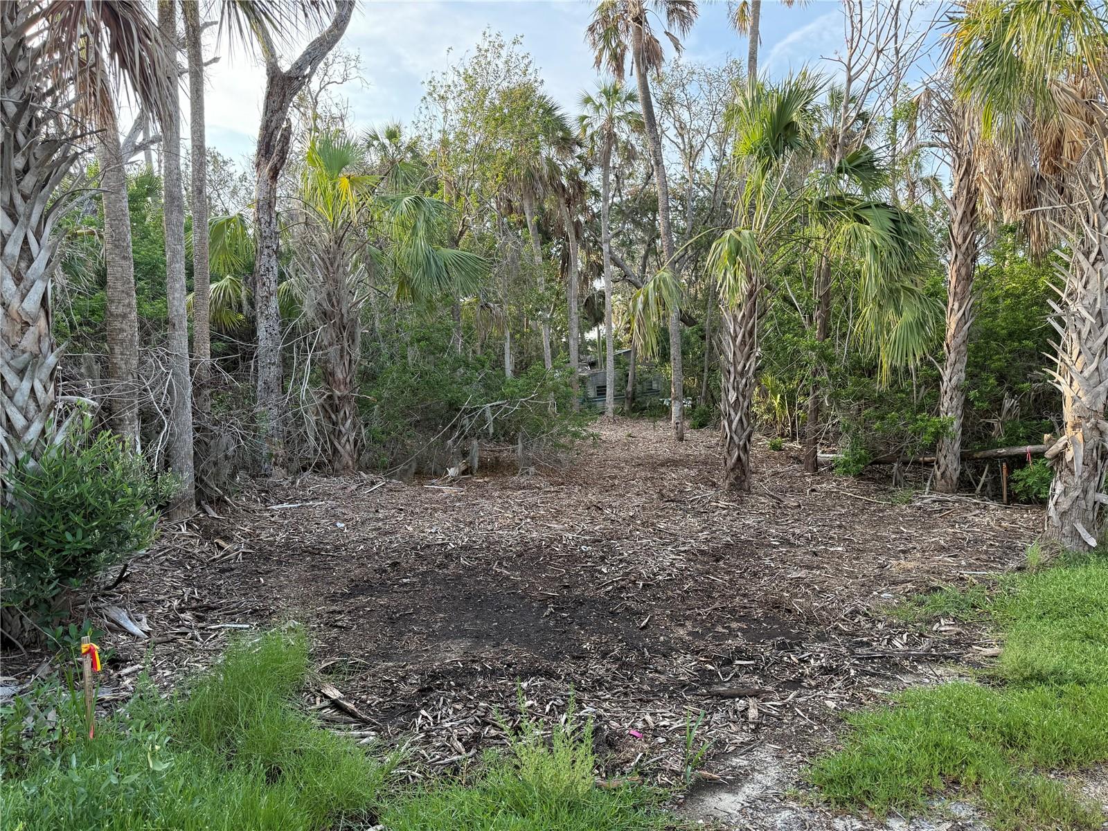 1471 S ESTUARY DR, CRYSTAL RIVER, FL, 34429