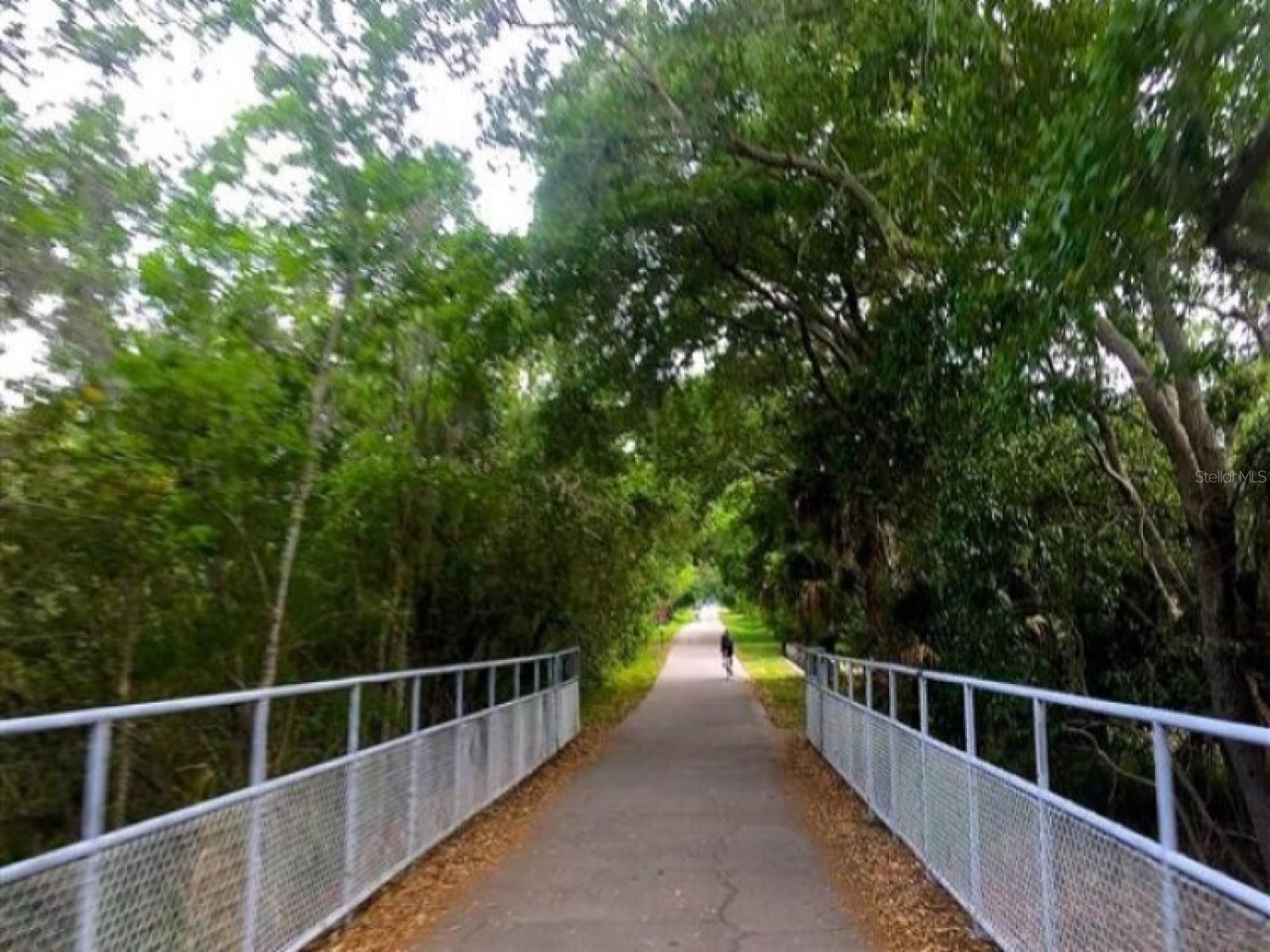 7 ISLAND PARK PL #204, DUNEDIN, FL, 34698