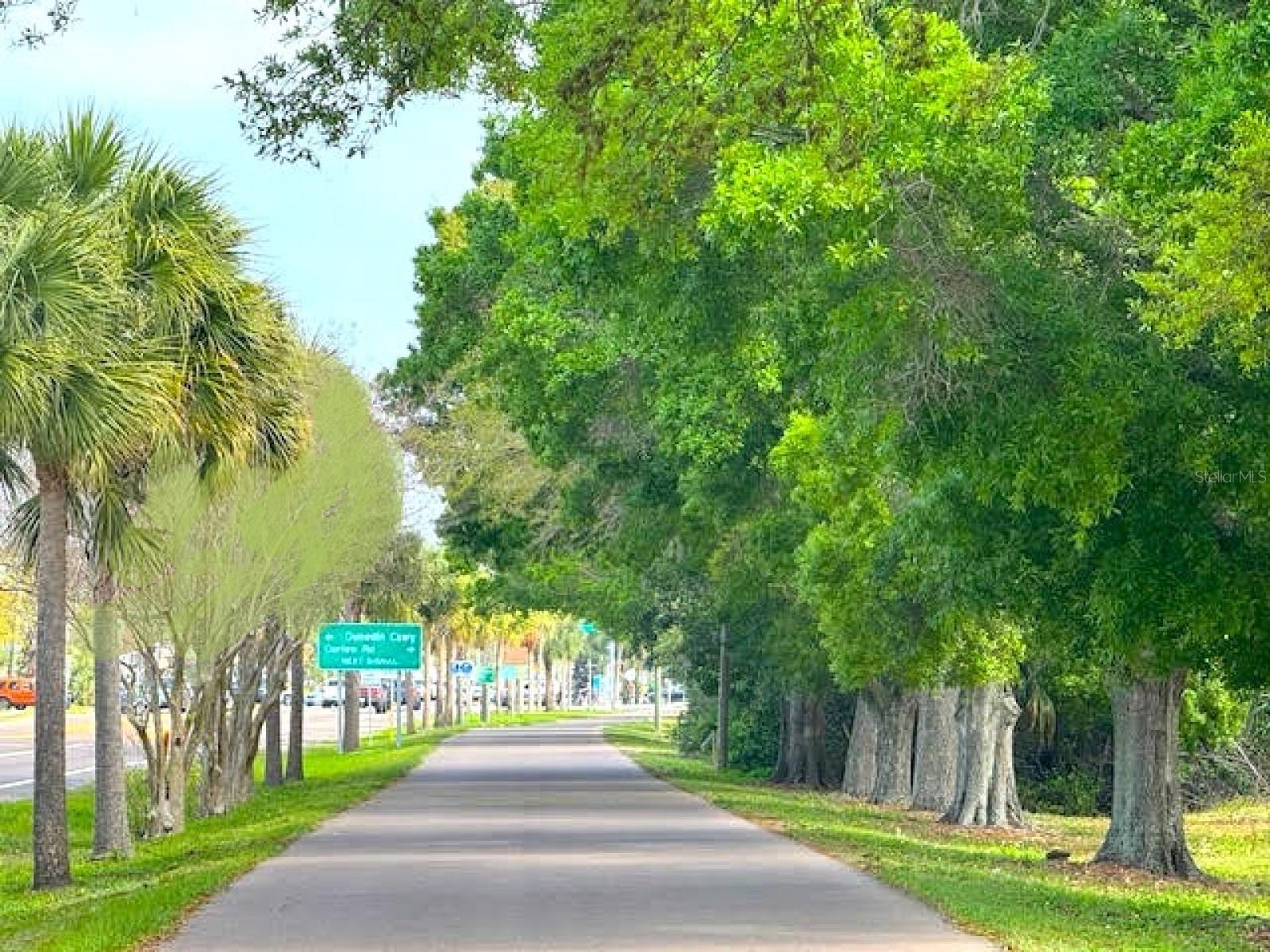 7 ISLAND PARK PL #204, DUNEDIN, FL, 34698