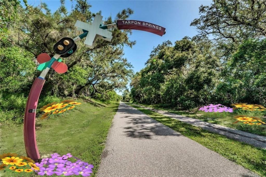 7 ISLAND PARK PL #204, DUNEDIN, FL, 34698