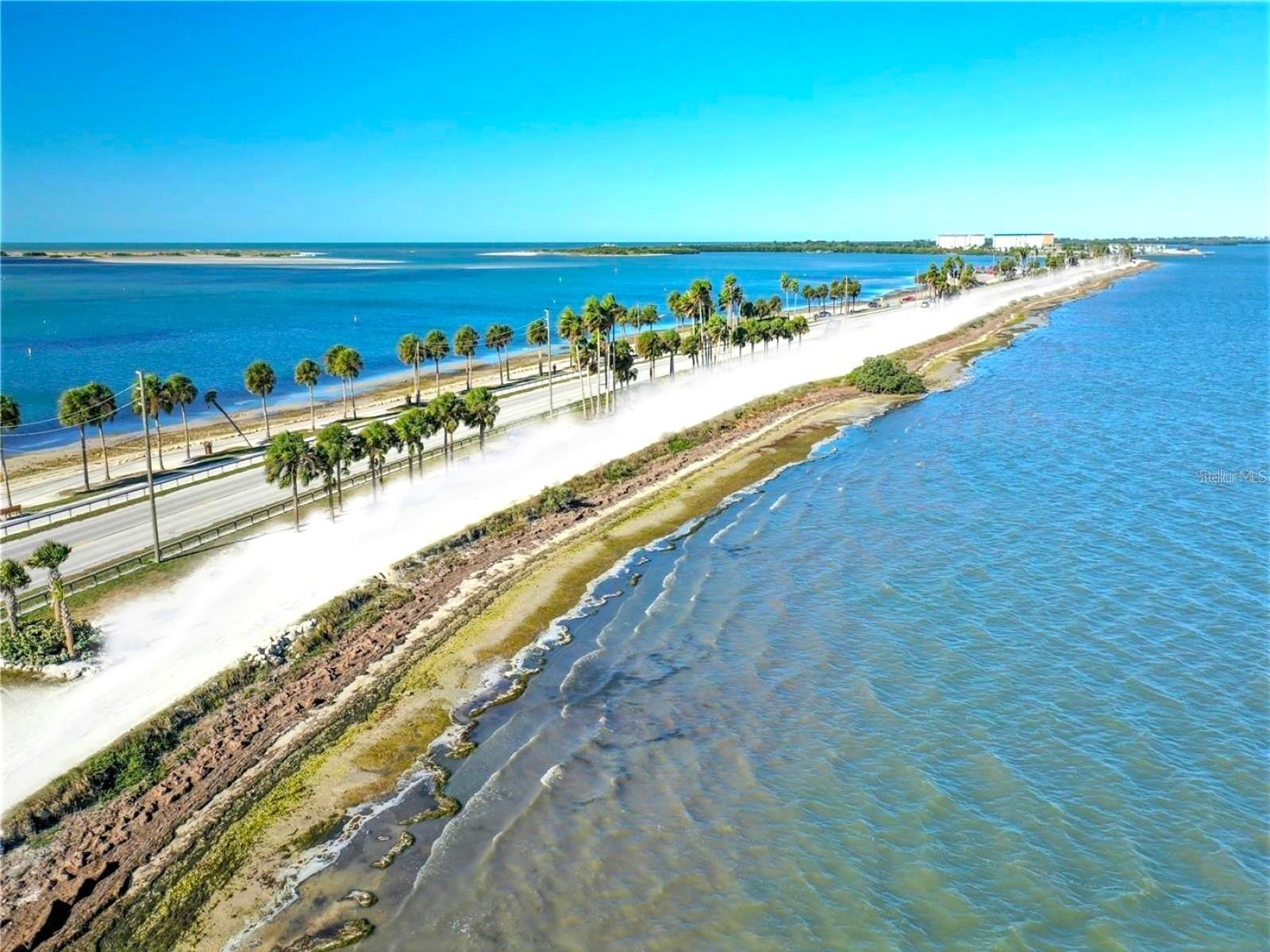 7 ISLAND PARK PL #204, DUNEDIN, FL, 34698