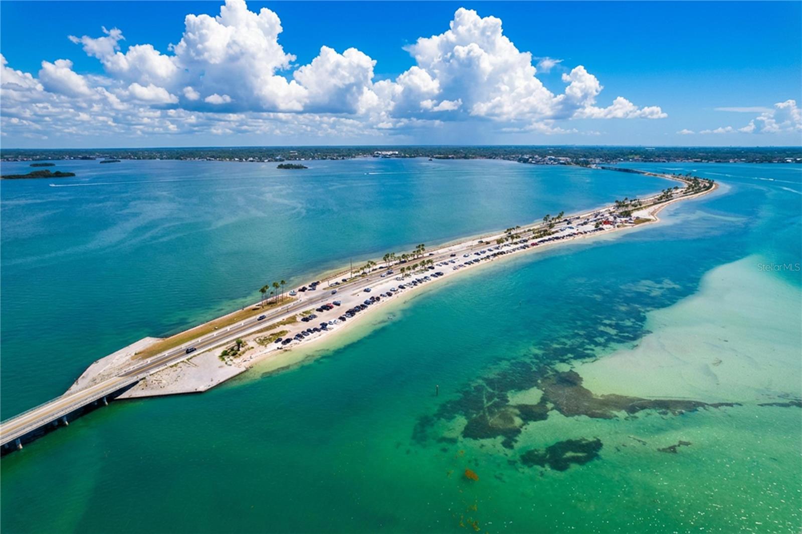 7 ISLAND PARK PL #204, DUNEDIN, FL, 34698