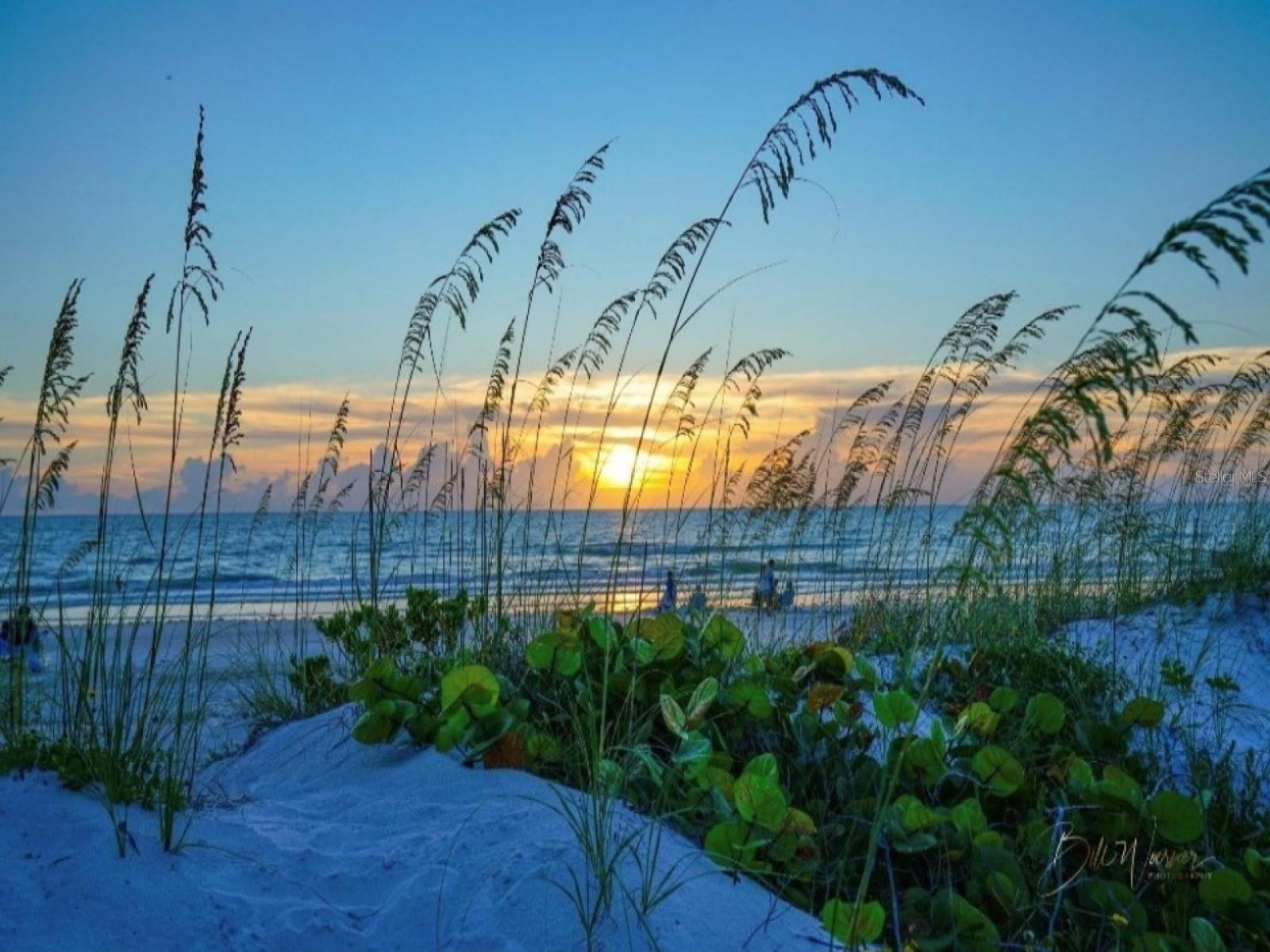 7 ISLAND PARK PL #204, DUNEDIN, FL, 34698