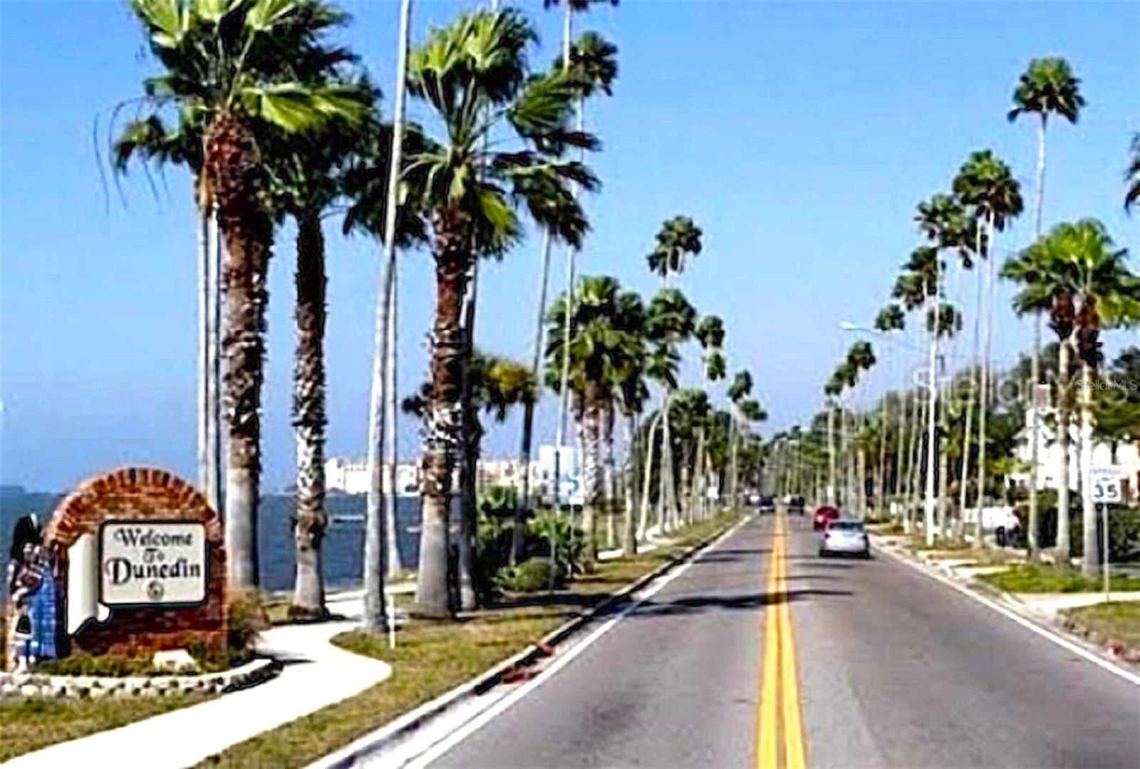 7 ISLAND PARK PL #204, DUNEDIN, FL, 34698