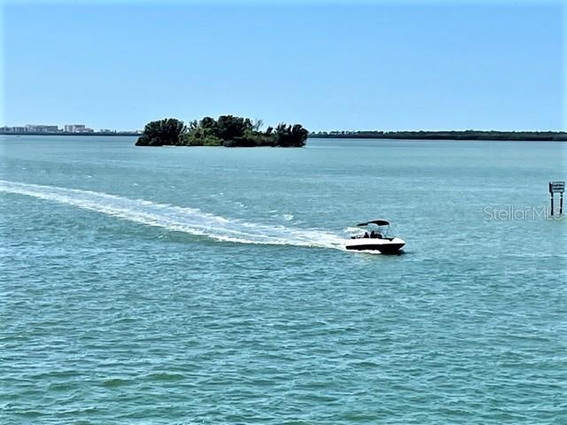 7 ISLAND PARK PL #204, DUNEDIN, FL, 34698