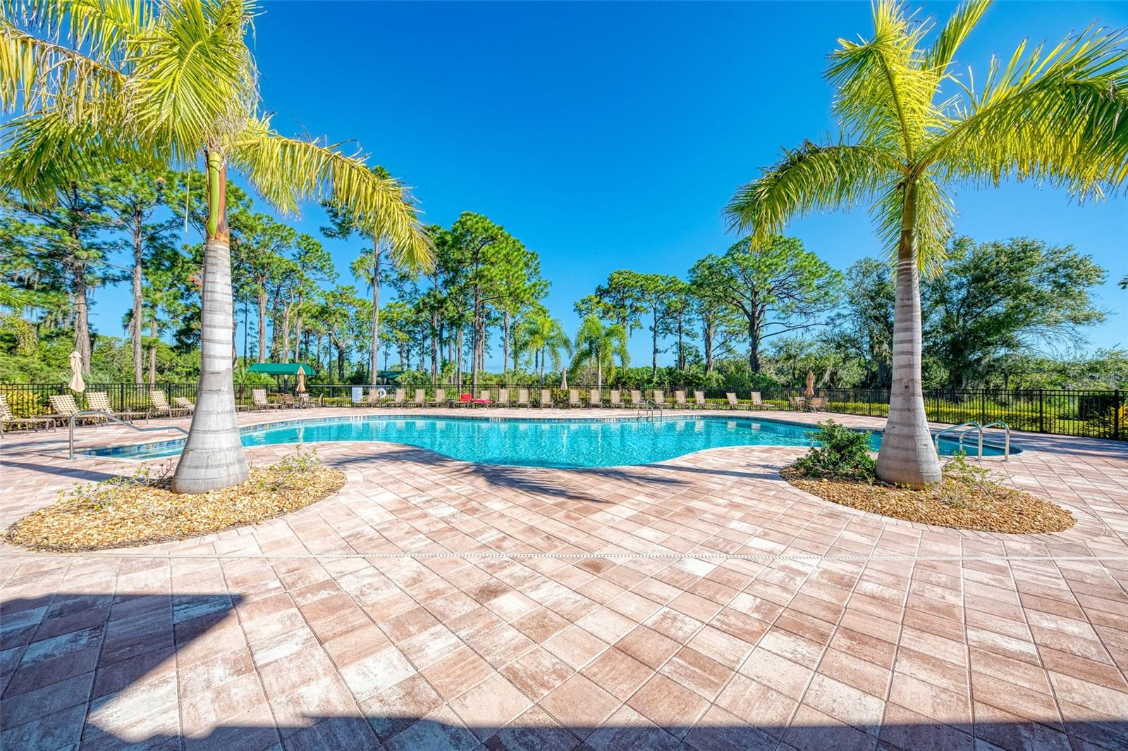 11455 BLACKFIN ST, VENICE, FL, 34292