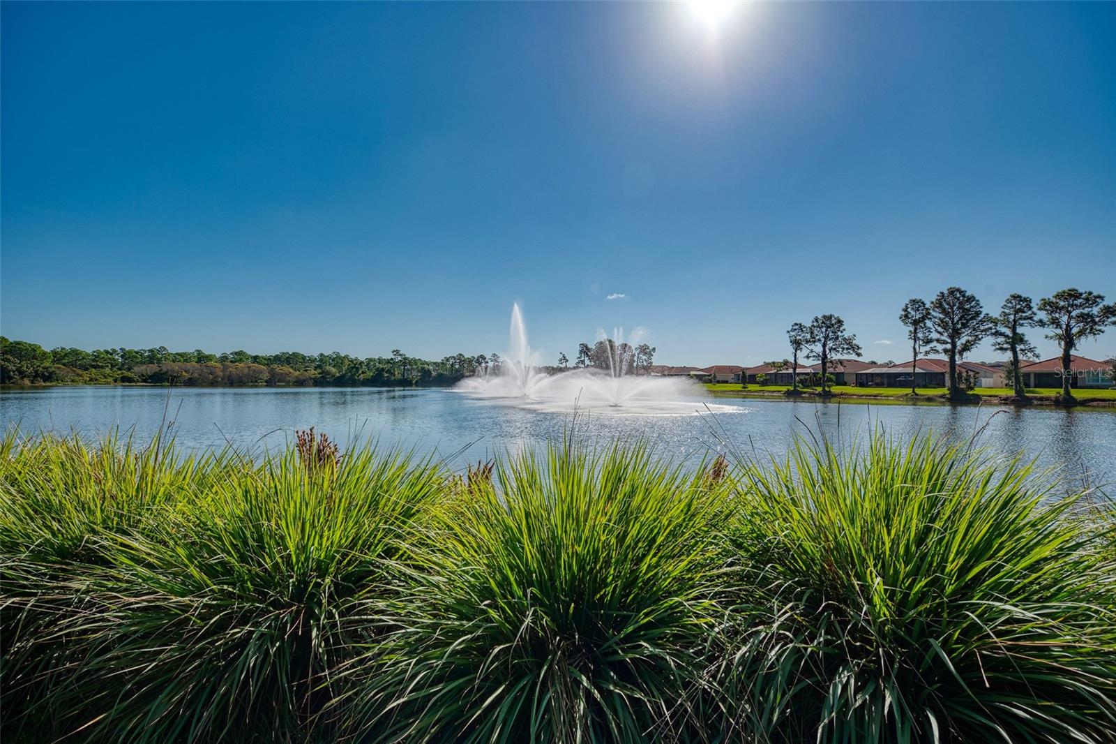 11455 BLACKFIN ST, VENICE, FL, 34292