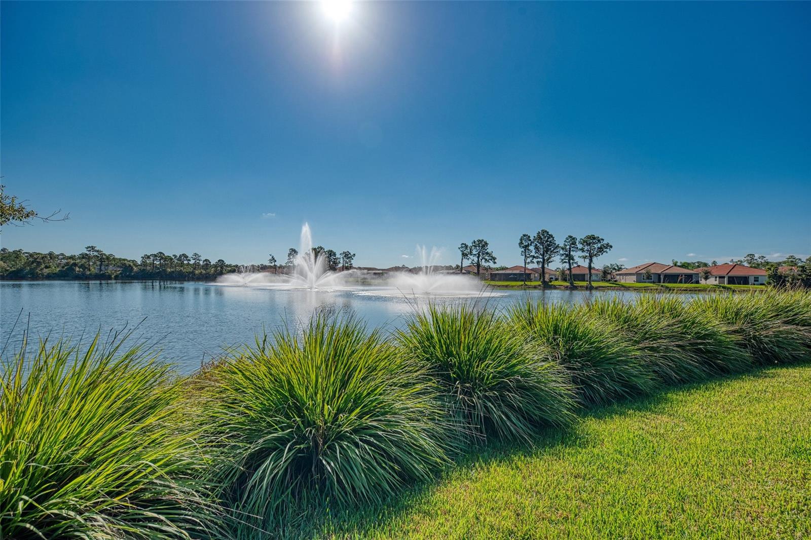 11455 BLACKFIN ST, VENICE, FL, 34292