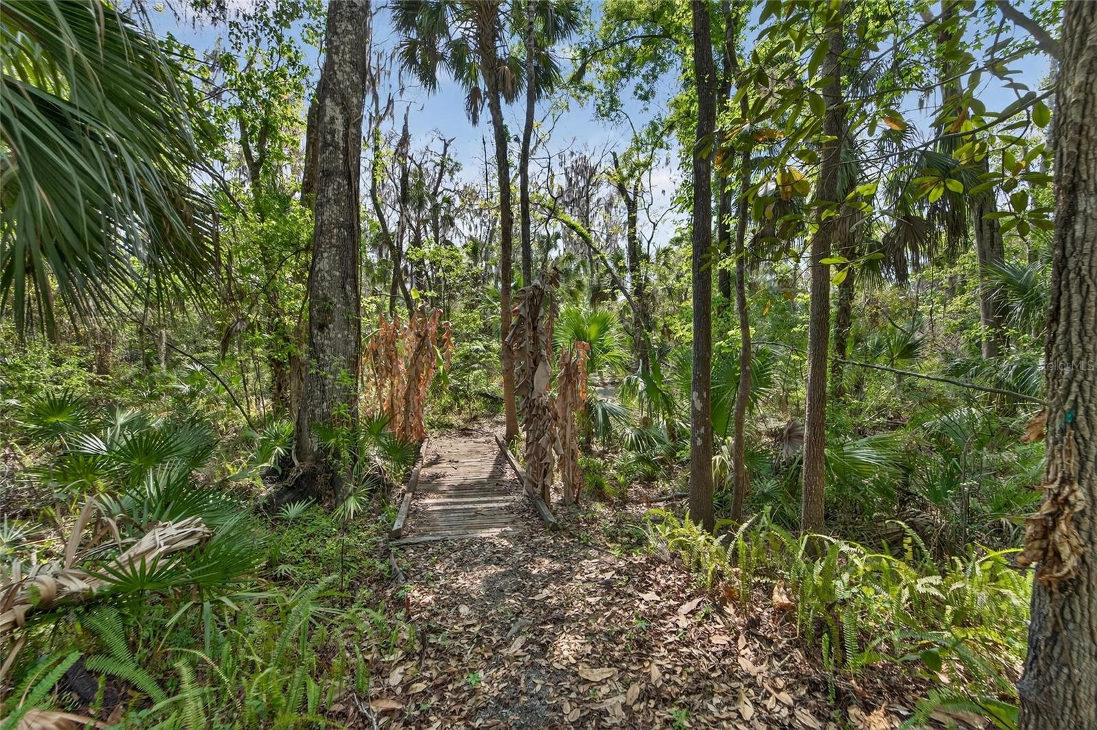 902 RIVER RAPIDS AVE, BRANDON, FL, 33511