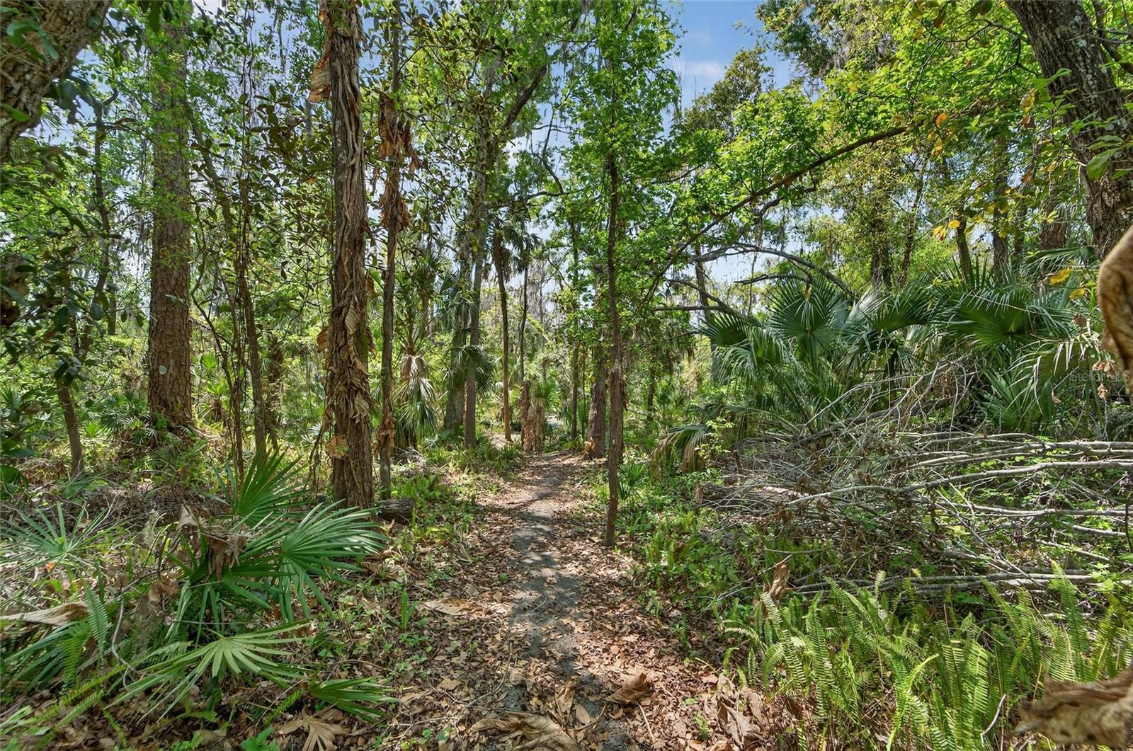 902 RIVER RAPIDS AVE, BRANDON, FL, 33511