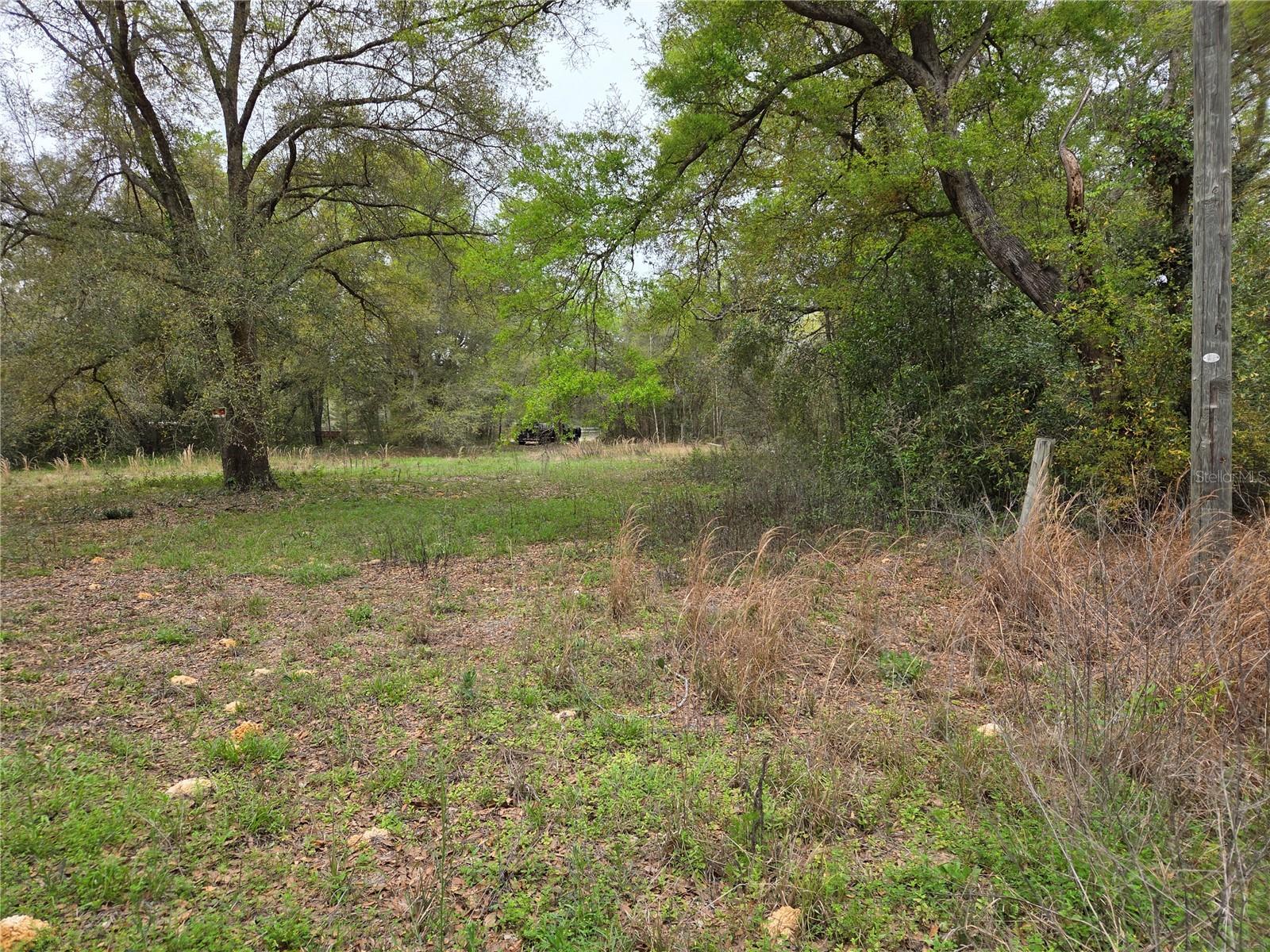 5870 NE 139TH AVE, WILLISTON, FL, 32696