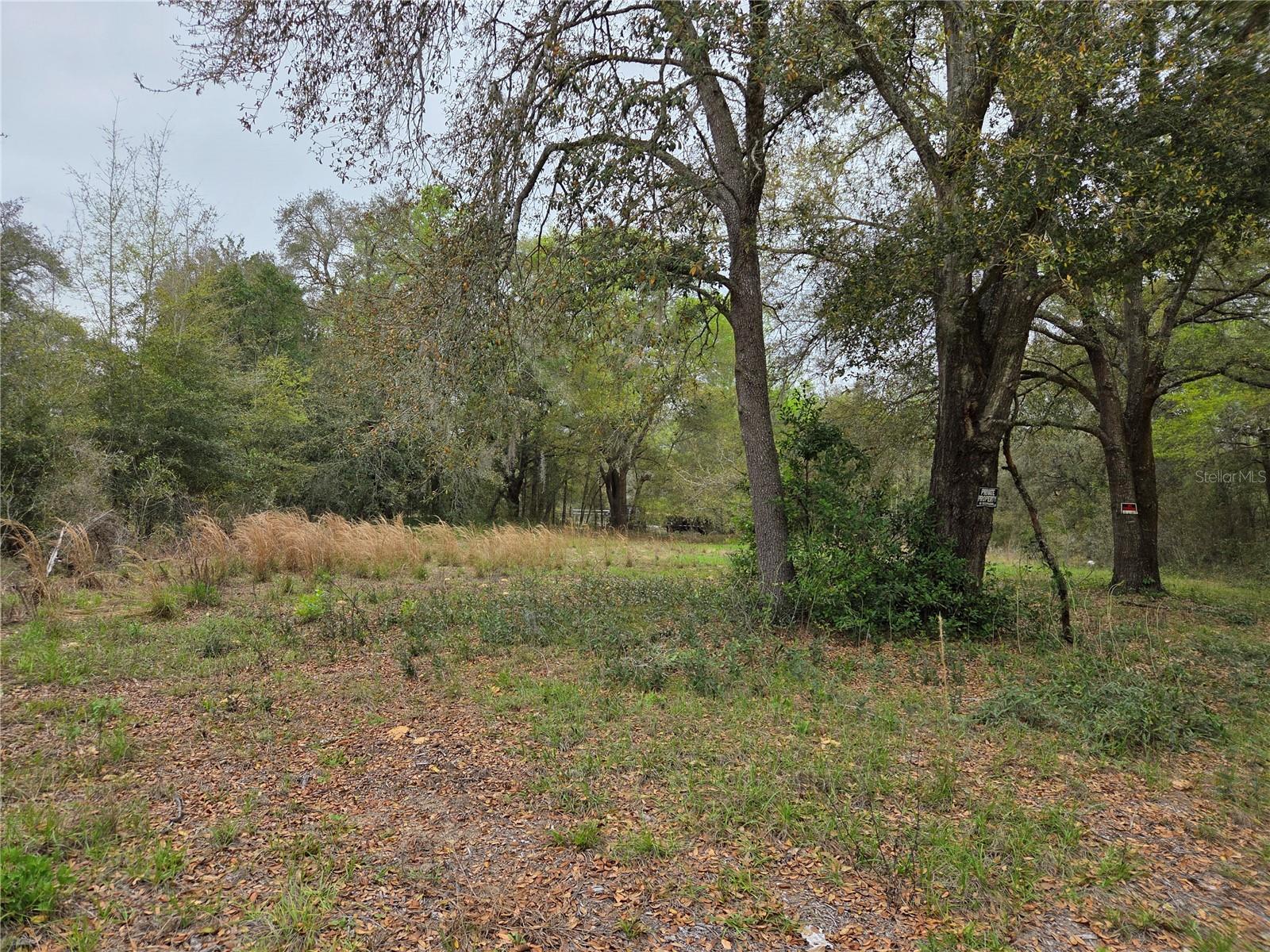 5870 NE 139TH AVE, WILLISTON, FL, 32696
