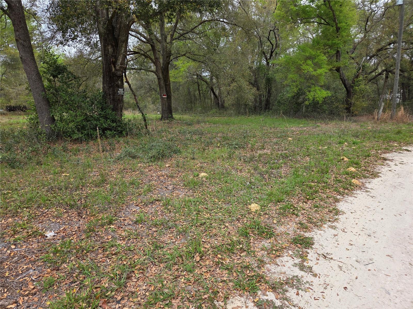 5870 NE 139TH AVE, WILLISTON, FL, 32696