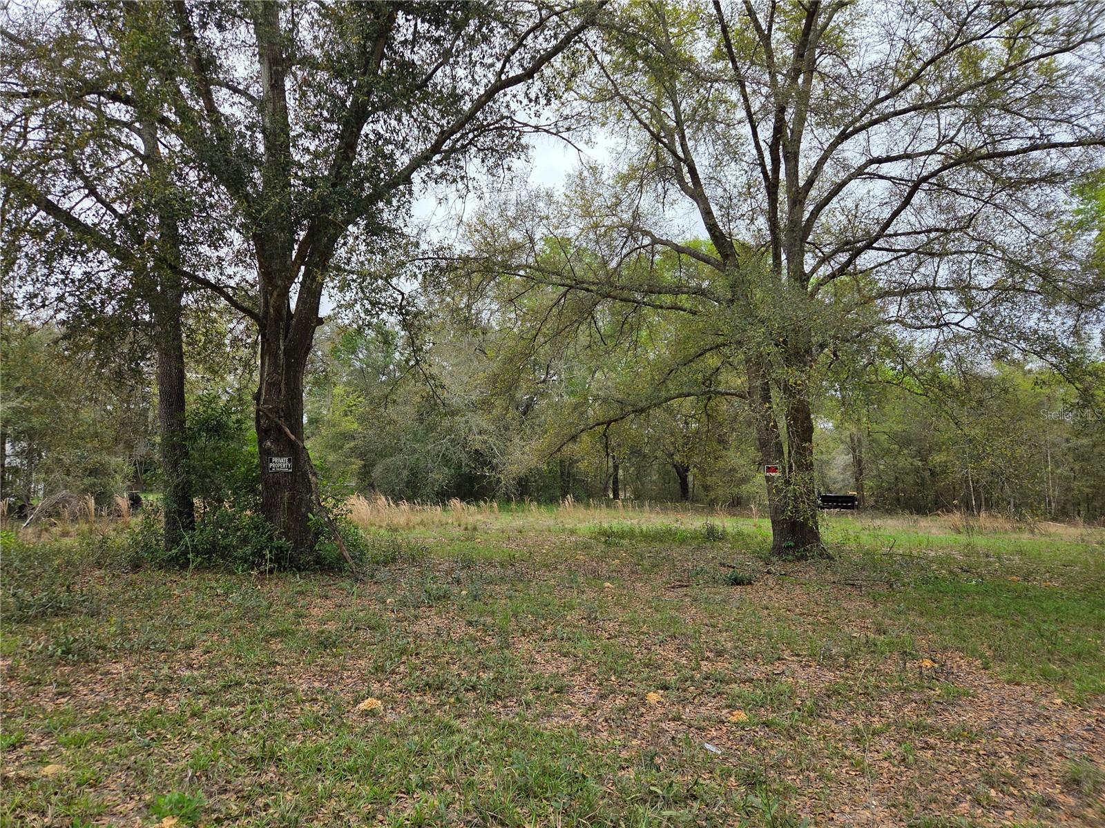 5870 NE 139TH AVE, WILLISTON, FL, 32696