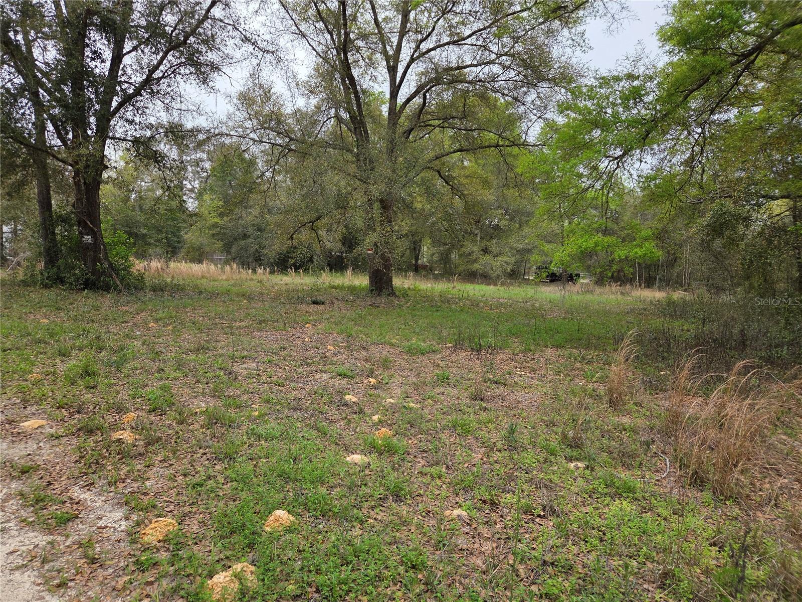 5870 NE 139TH AVE, WILLISTON, FL, 32696
