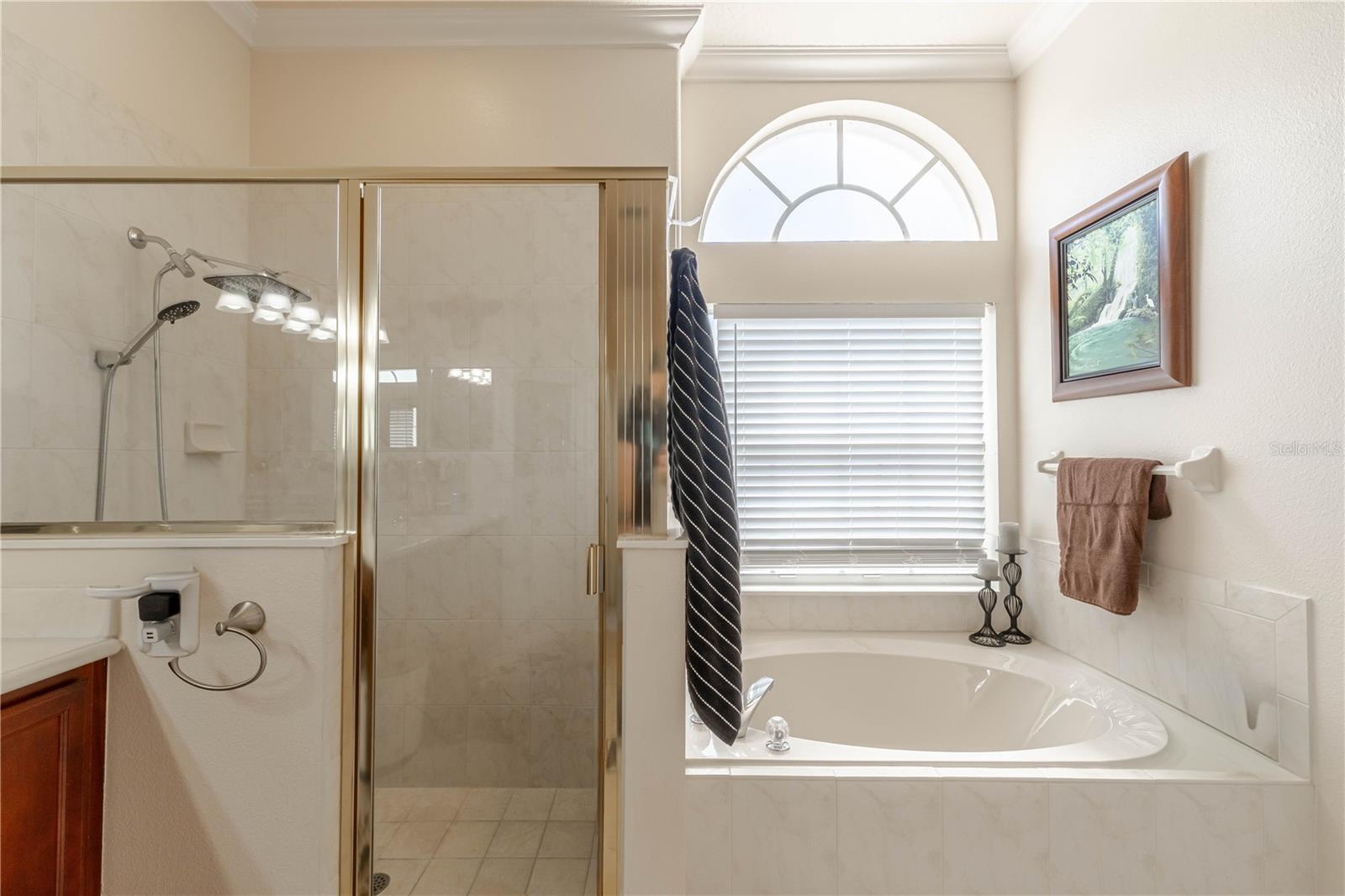 417 GRAND RESERVE DR, DAVENPORT, FL, 33837