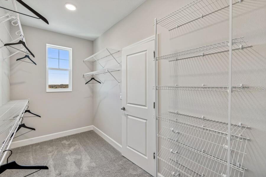 17329 BEACHGRASS ALY, WINTER GARDEN, FL, 34787