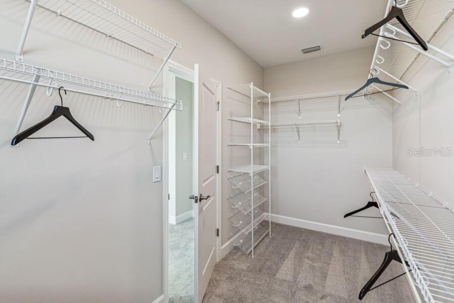 17329 BEACHGRASS ALY, WINTER GARDEN, FL, 34787