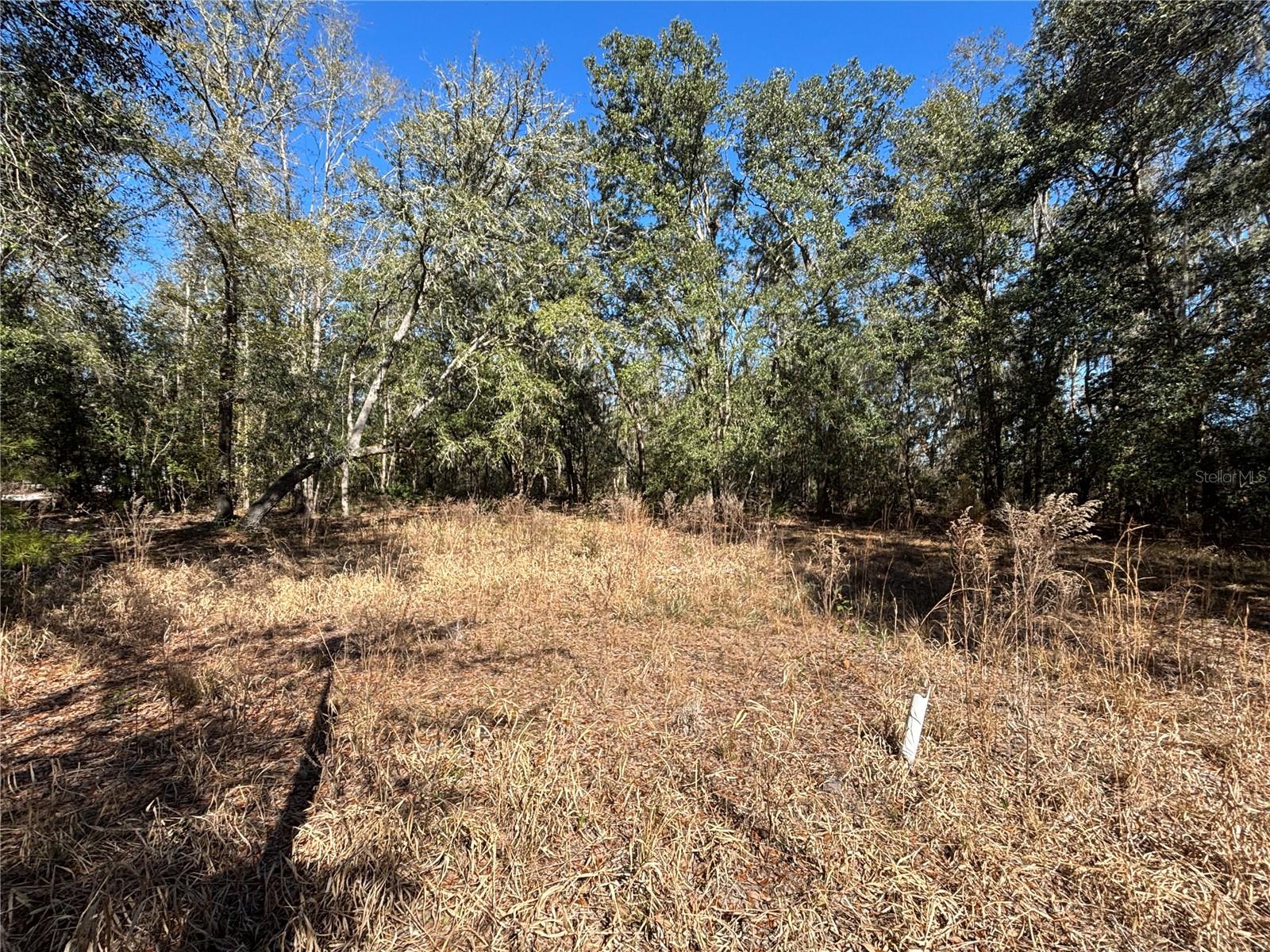 1077 NW HAMP FARMER RD, LAKE CITY, FL, 32055