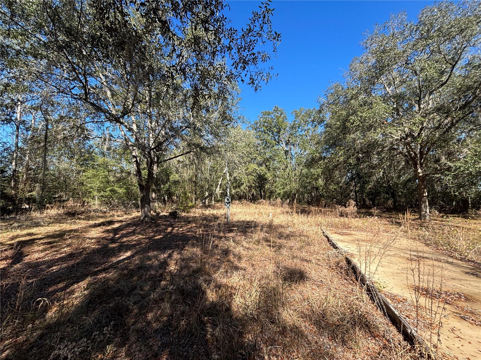 1077 NW HAMP FARMER RD, LAKE CITY, FL, 32055