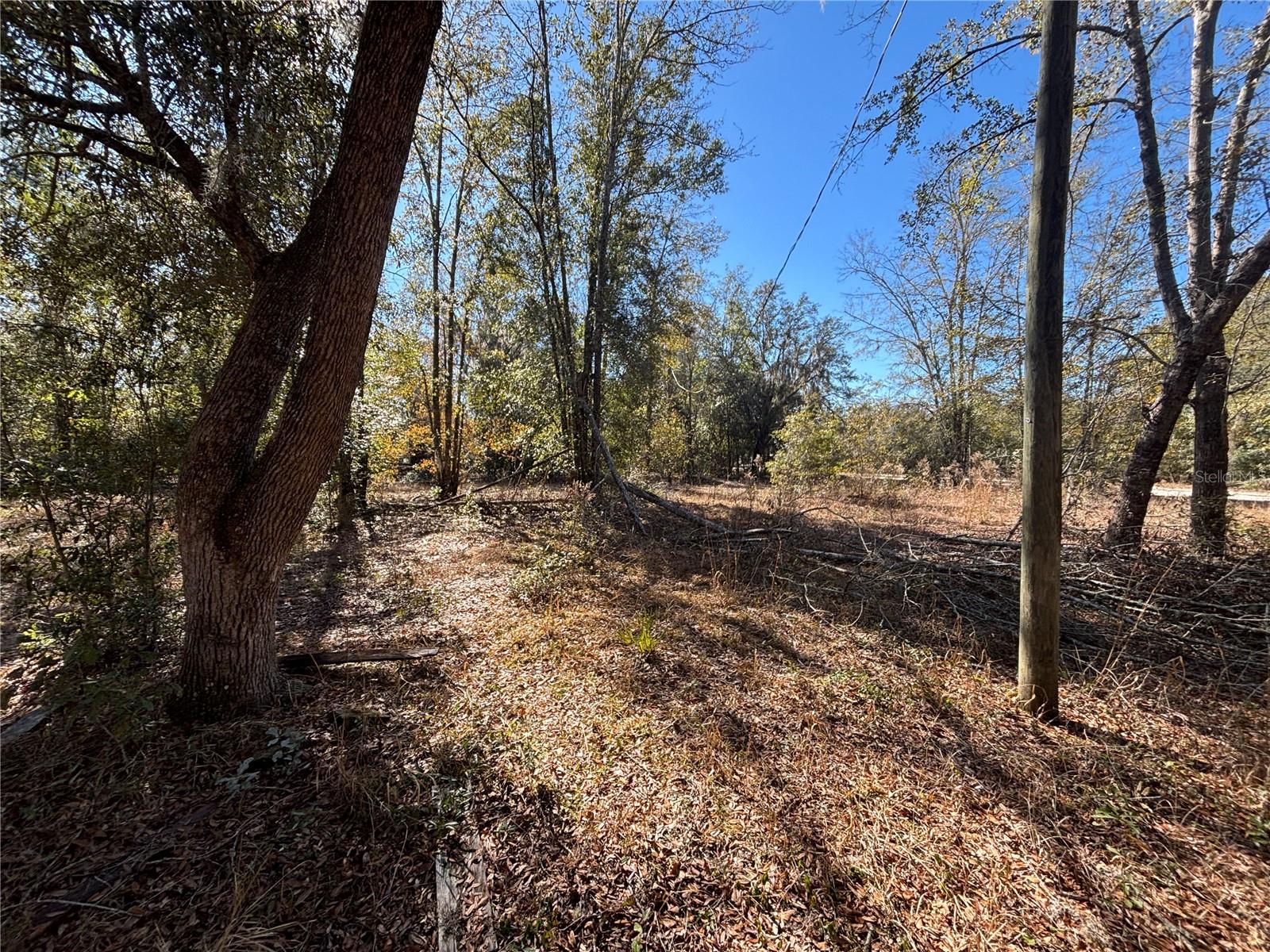 1077 NW HAMP FARMER RD, LAKE CITY, FL, 32055