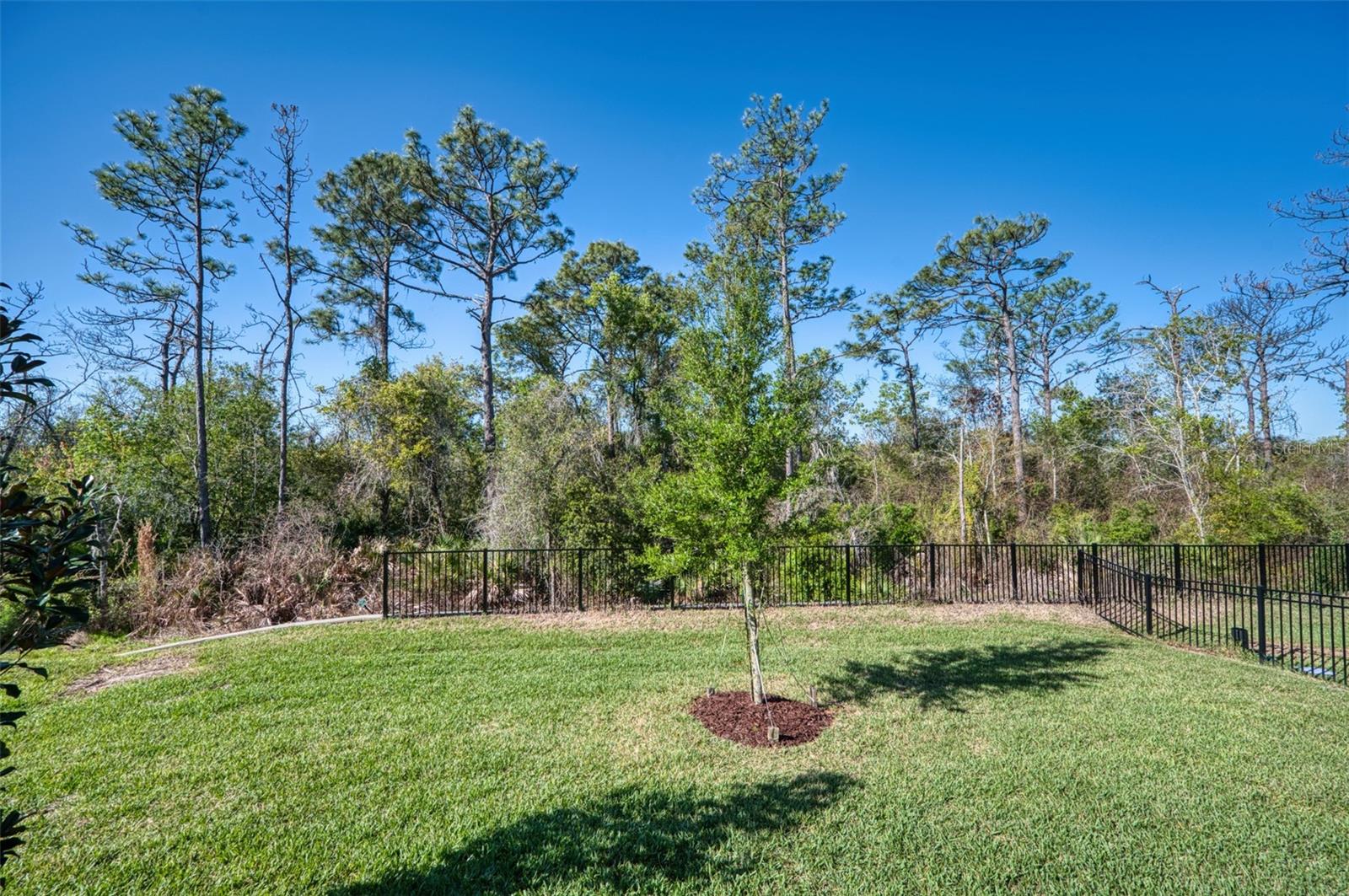 13941 LILAC SKY TER, BRADENTON, FL, 34211