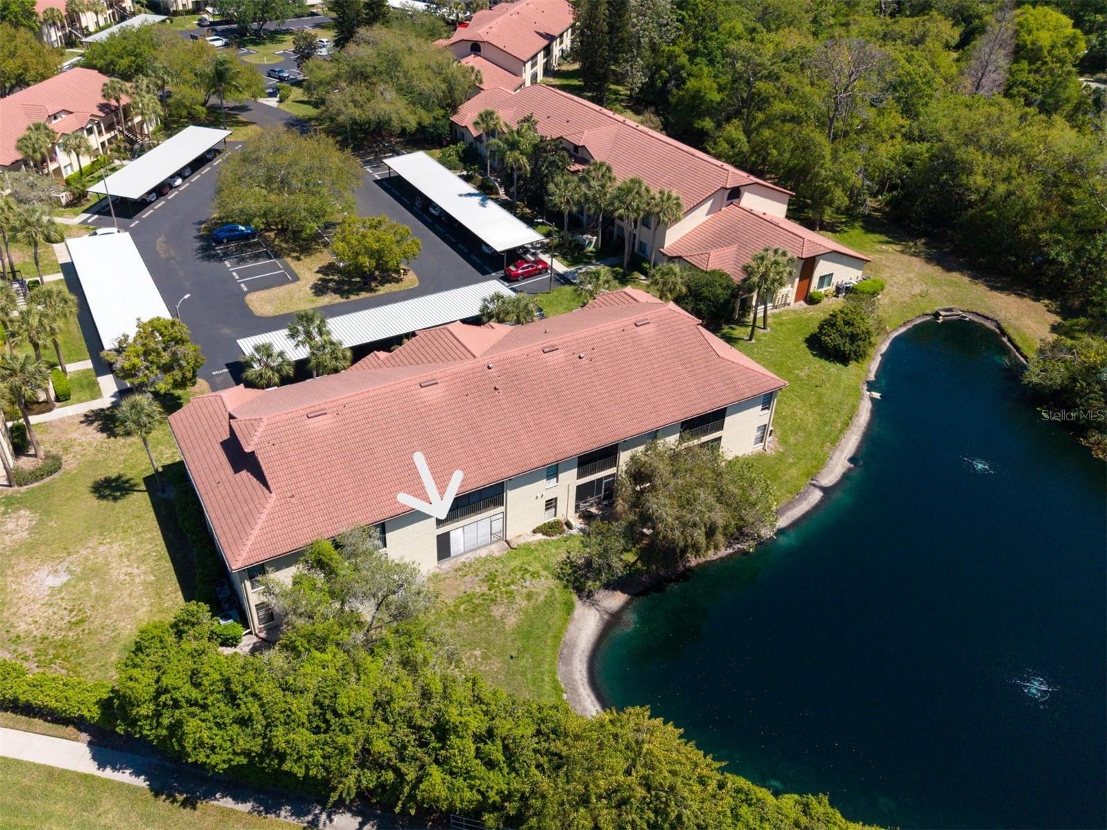 1801 E LAKE RD #20C, PALM HARBOR, FL, 34685
