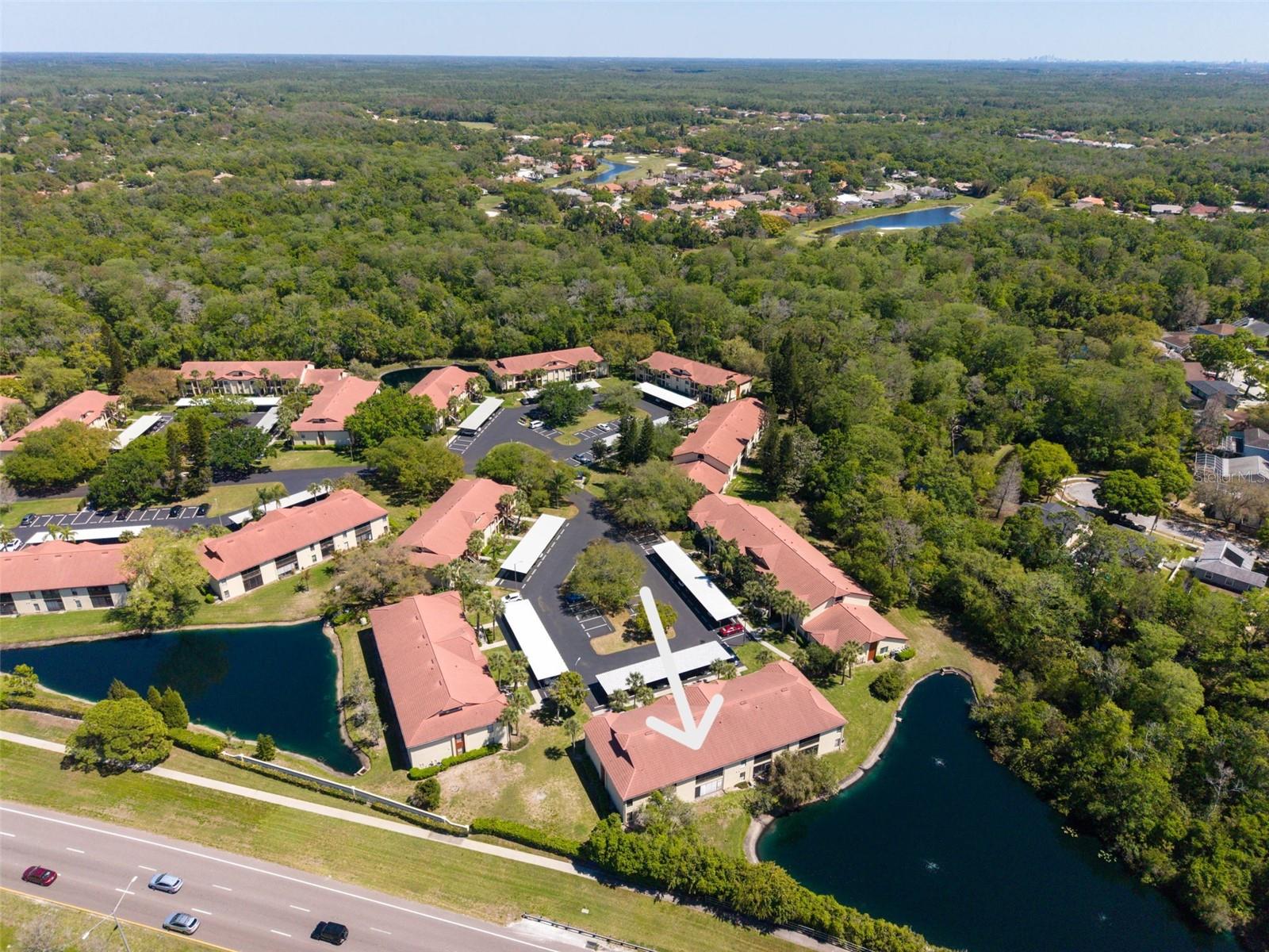 1801 E LAKE RD #20C, PALM HARBOR, FL, 34685