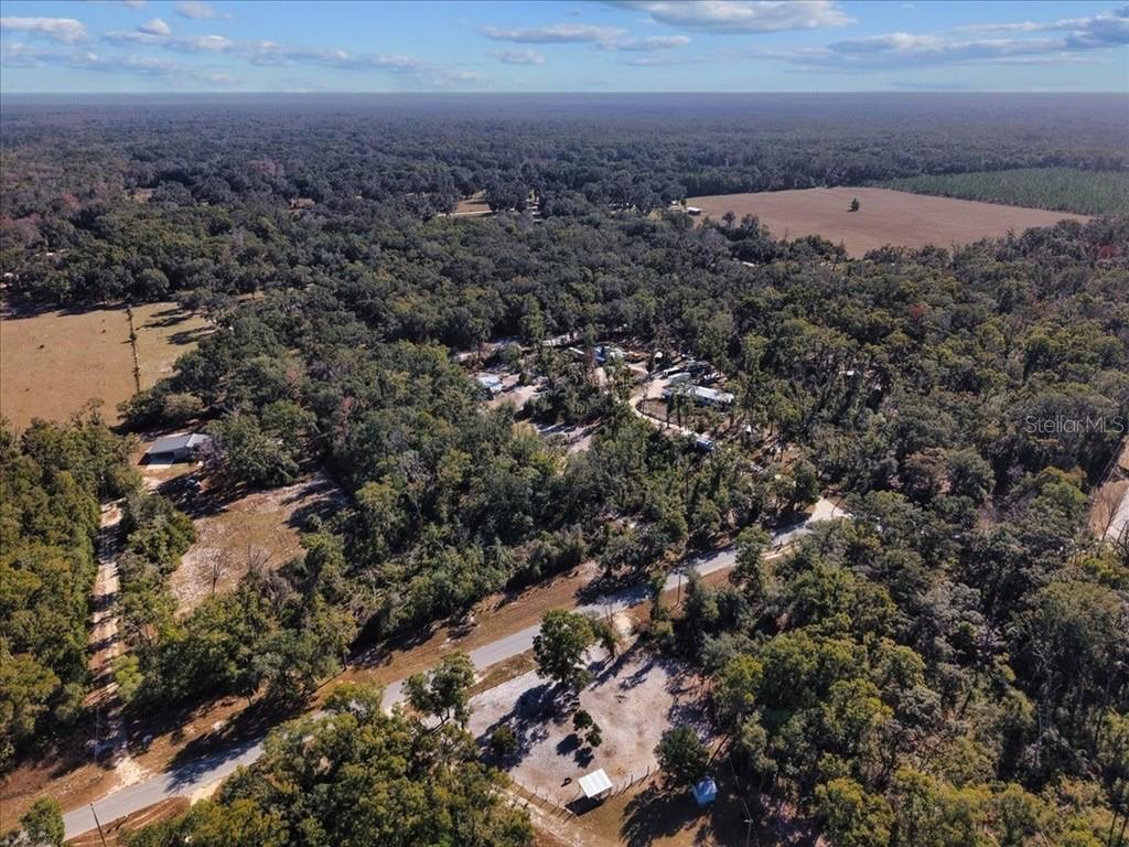 445 NE 544TH STREET, OLD TOWN, FL, 32680
