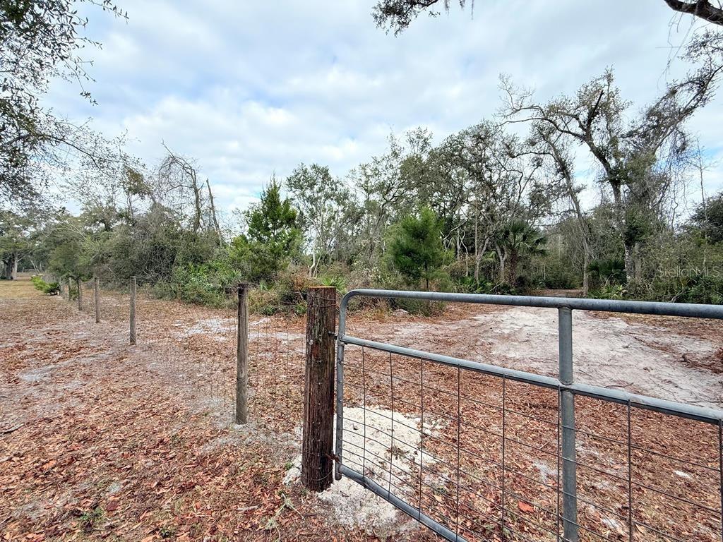 445 NE 544TH STREET, OLD TOWN, FL, 32680