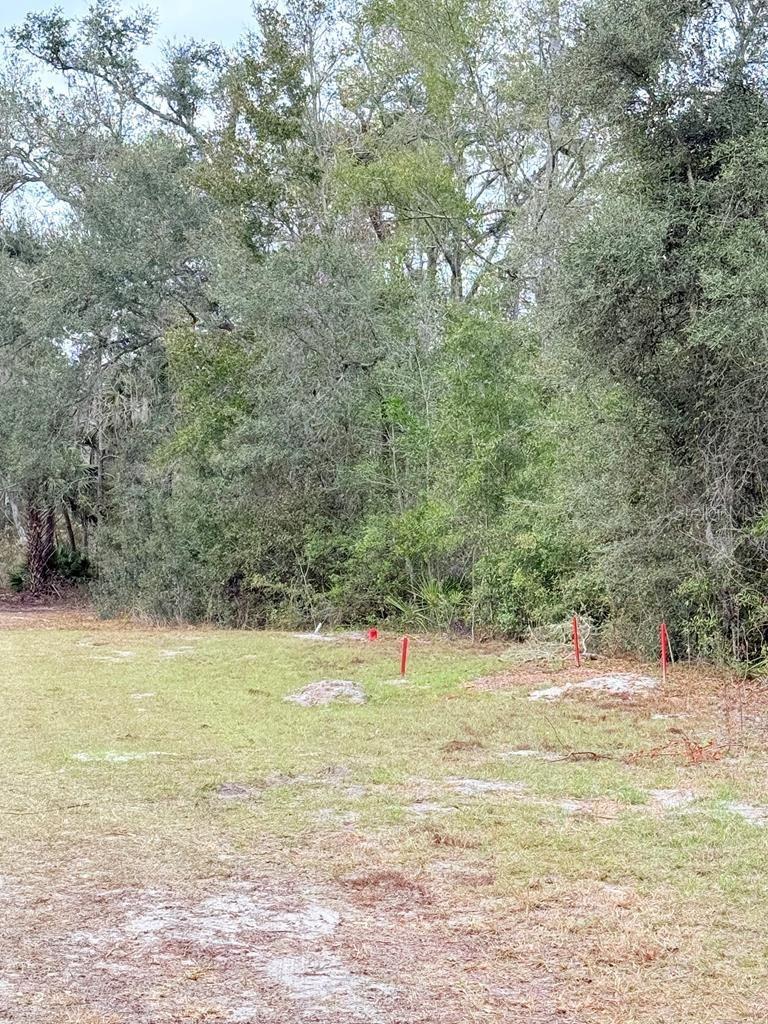 445 NE 544TH STREET, OLD TOWN, FL, 32680