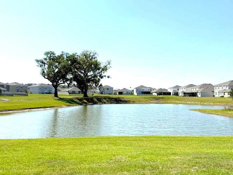 32893 OSPREY PEAK WAY, SAN ANTONIO, FL, 33576