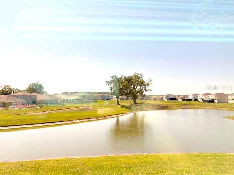 32893 OSPREY PEAK WAY, SAN ANTONIO, FL, 33576