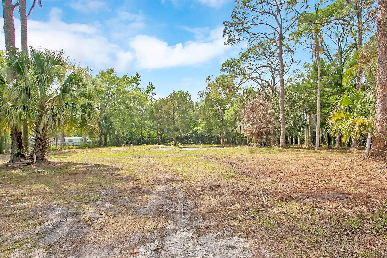 806 SAINT NICHOLAS AVE, CHRISTMAS, FL, 32709