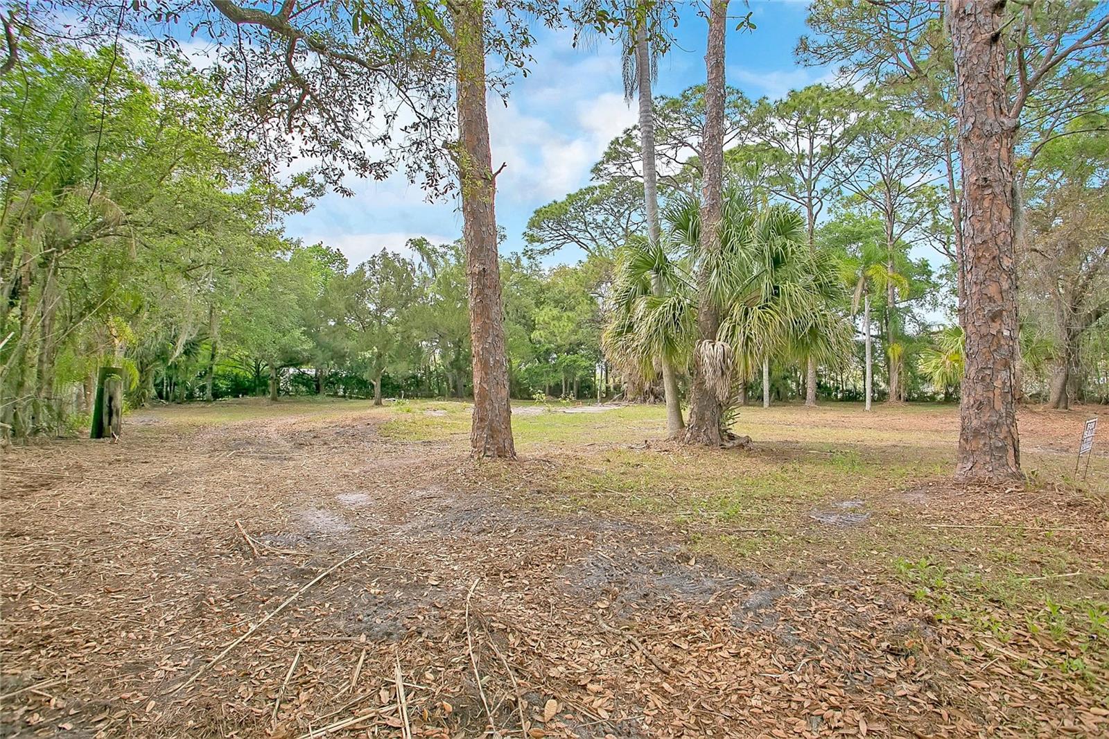 806 SAINT NICHOLAS AVE, CHRISTMAS, FL, 32709