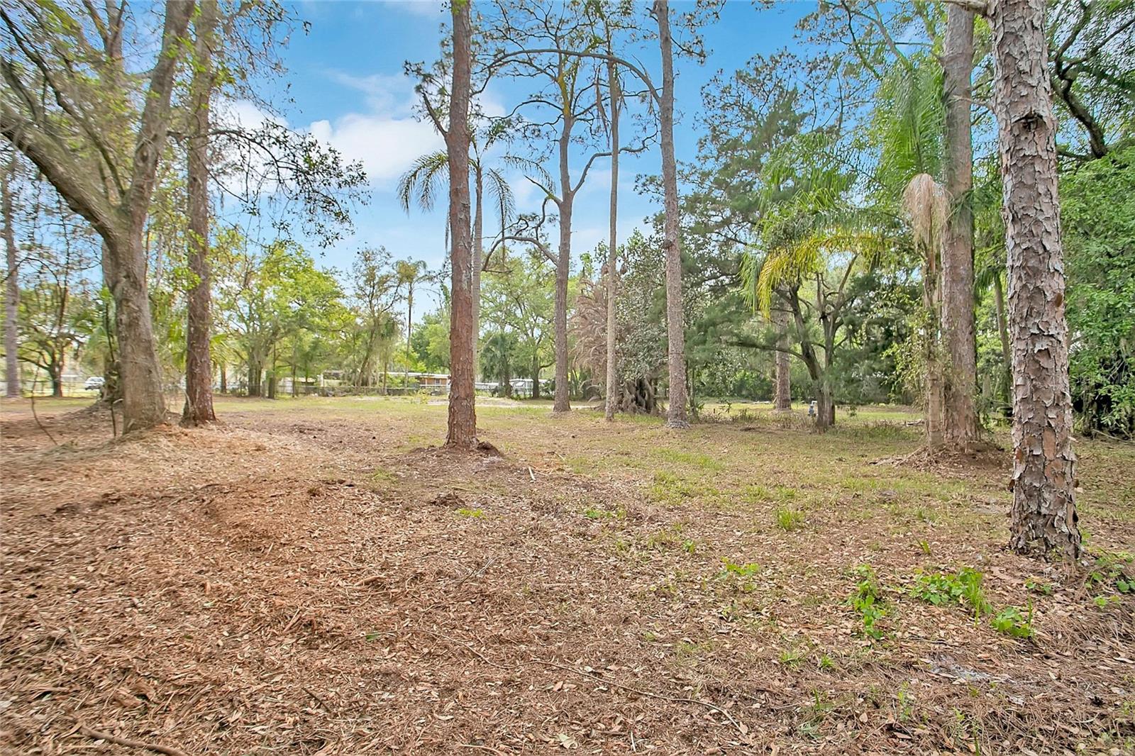 806 SAINT NICHOLAS AVE, CHRISTMAS, FL, 32709