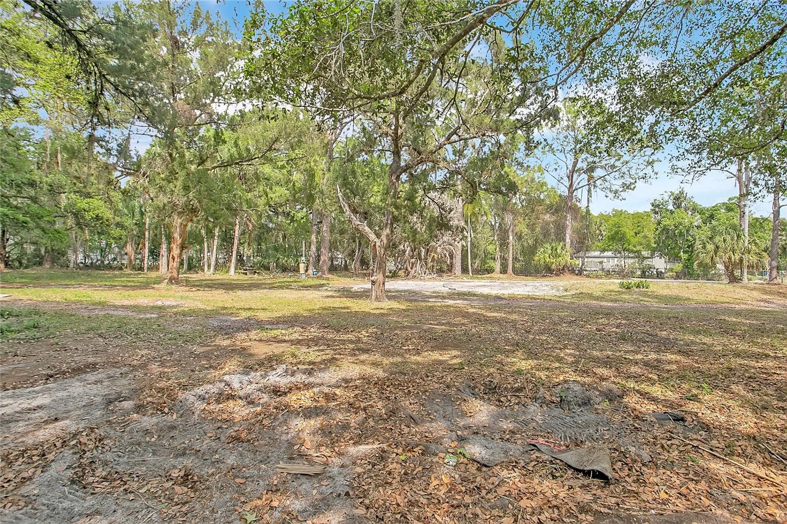 806 SAINT NICHOLAS AVE, CHRISTMAS, FL, 32709