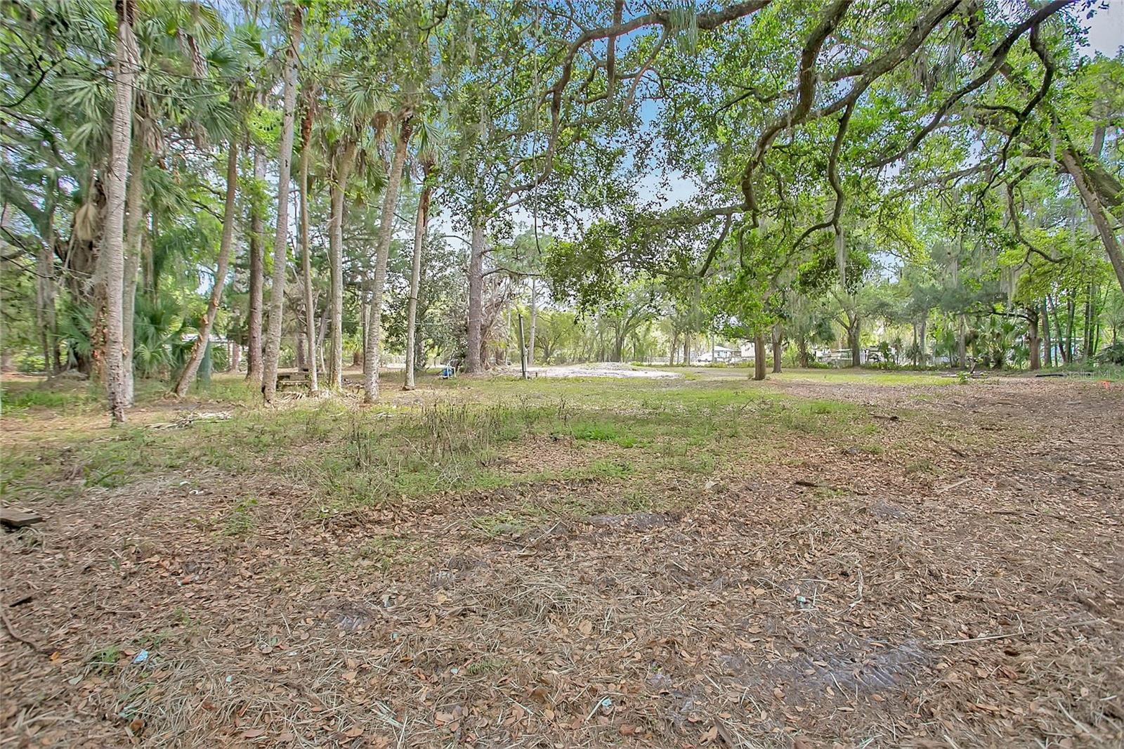 806 SAINT NICHOLAS AVE, CHRISTMAS, FL, 32709