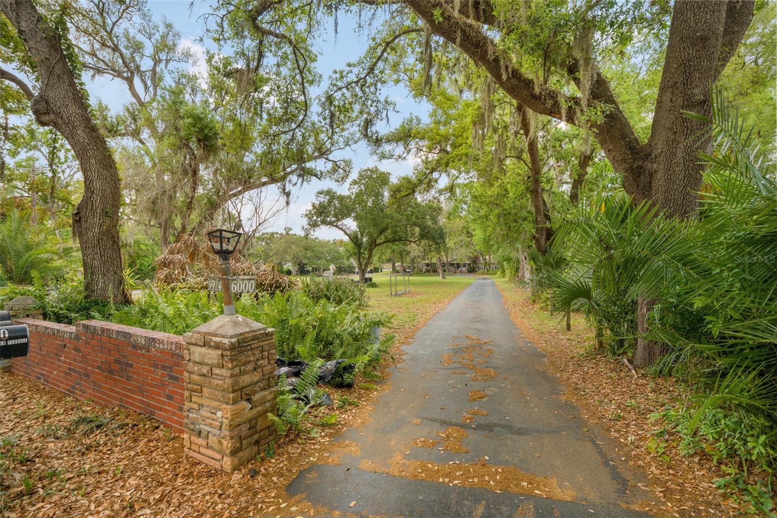 5924 RIVER TER, TAMPA, FL, 33604